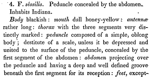 the original species description for Tapinoma sessile (first page)