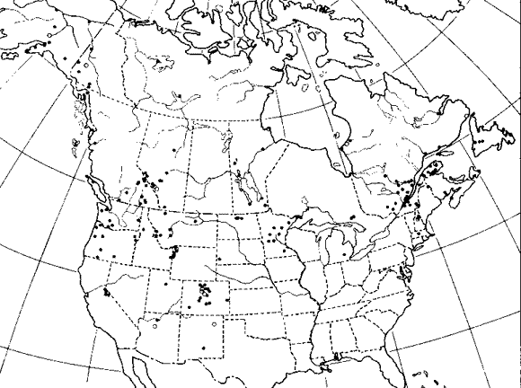 Formica neorufibarbus  map from 1973