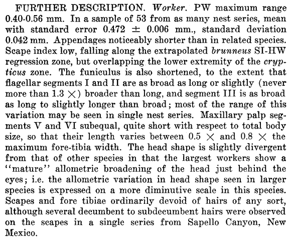 the original species description for Lasius sitiens (second page)