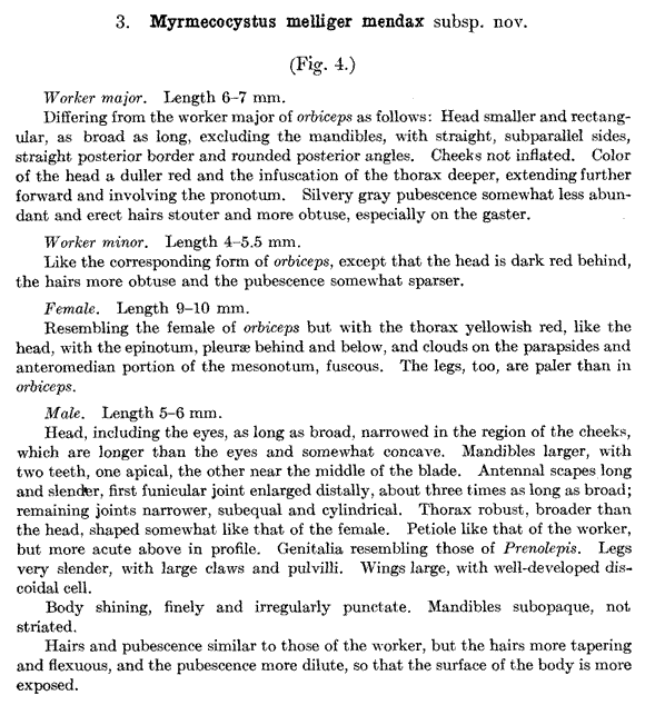 the original species description for Myrmecocystus mendax (first page)